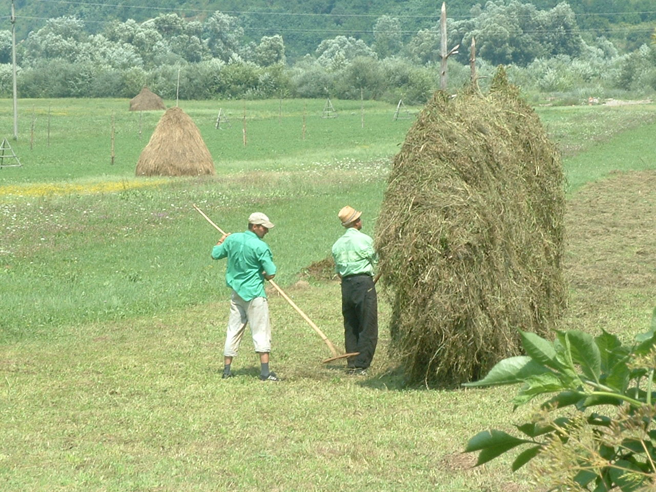 Prix de rideaux de véranda a lamelles